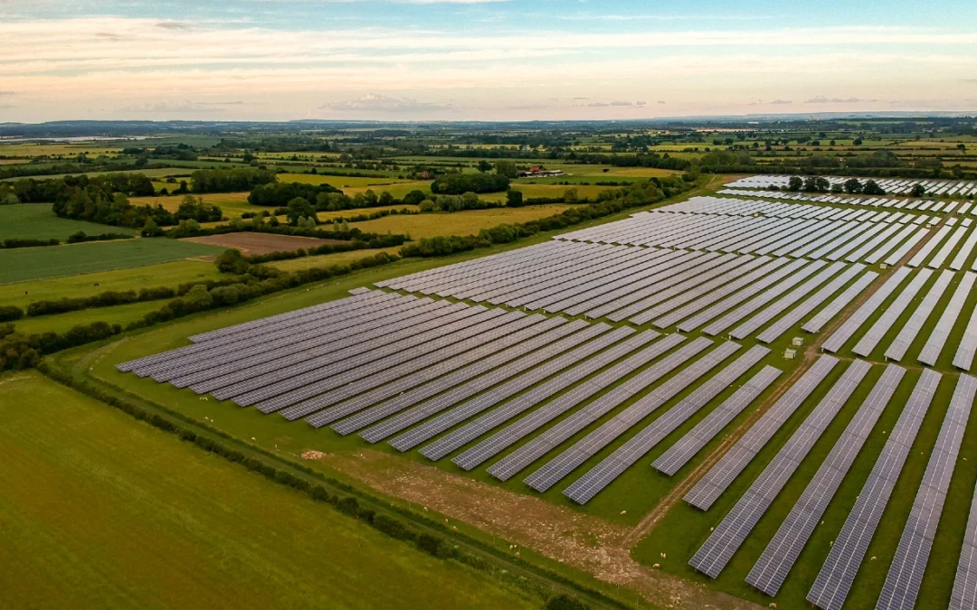 UK’s Expanding Solar Sector Sets Sights on Global Leadership