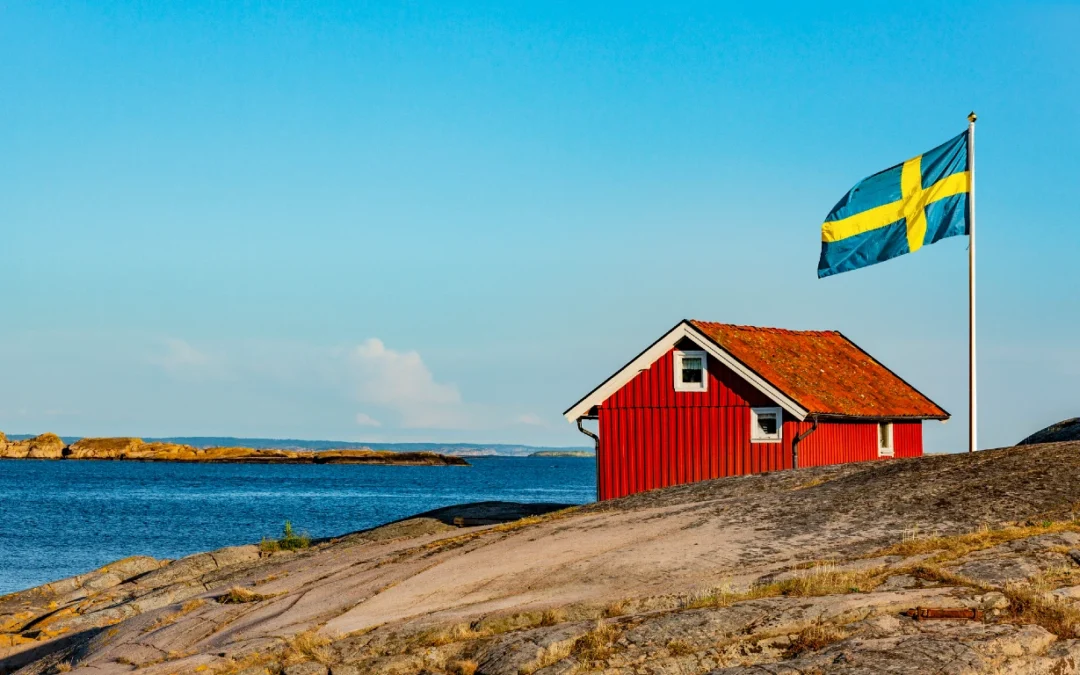 Sweden Launches Support Program for Bioenergy with CCS