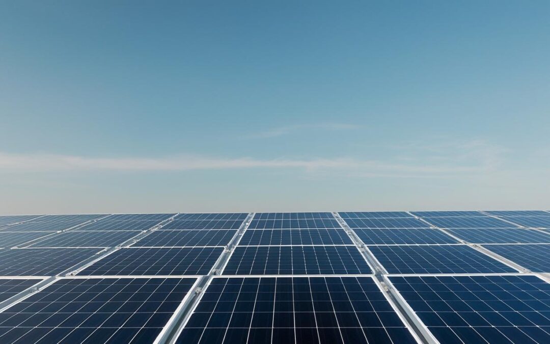 Global Solar and Renewable Energy Sector Shines