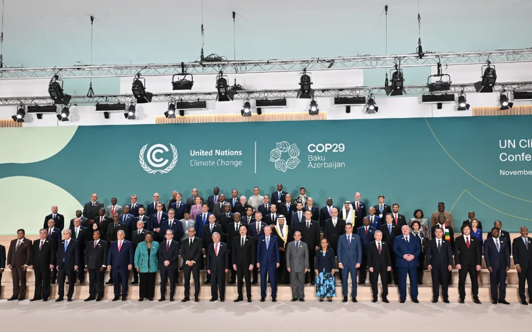 COP29: A “Mixed Bag” of Momentum and Challenges