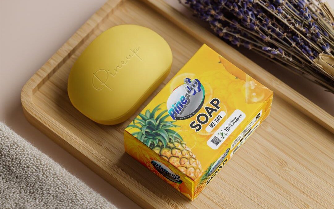 Tekcycle Ghana Transforms Pineapple Waste Into Sustainable Cleaning Products