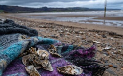 Seawool Fabric Made From Oyster Shells And Recycled Plastic