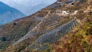 India Surpasses 50% Non-Fossil Fuel Power Capacity Milestone 5 Years Early