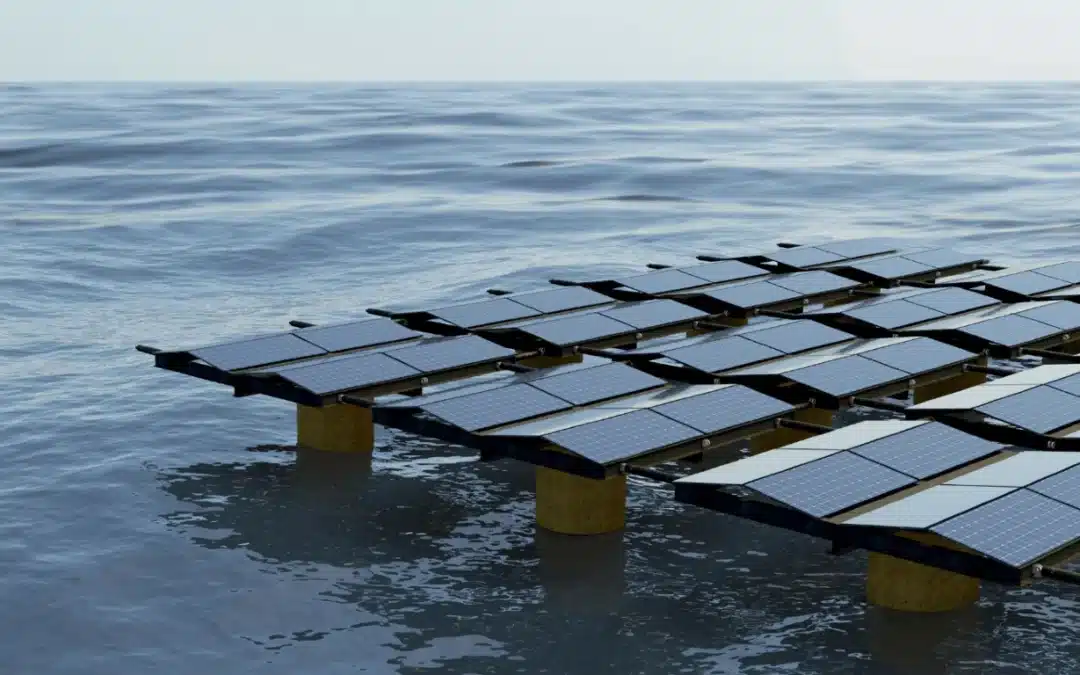 Algae-Based Biofuels Offer a Net-Zero Solution