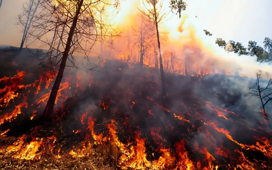 Climate In Motion: The Key News This Week