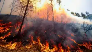 Climate In Motion: The Key News This Week