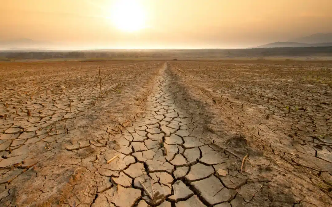 Hot Debates: A Fractious Week In Climate