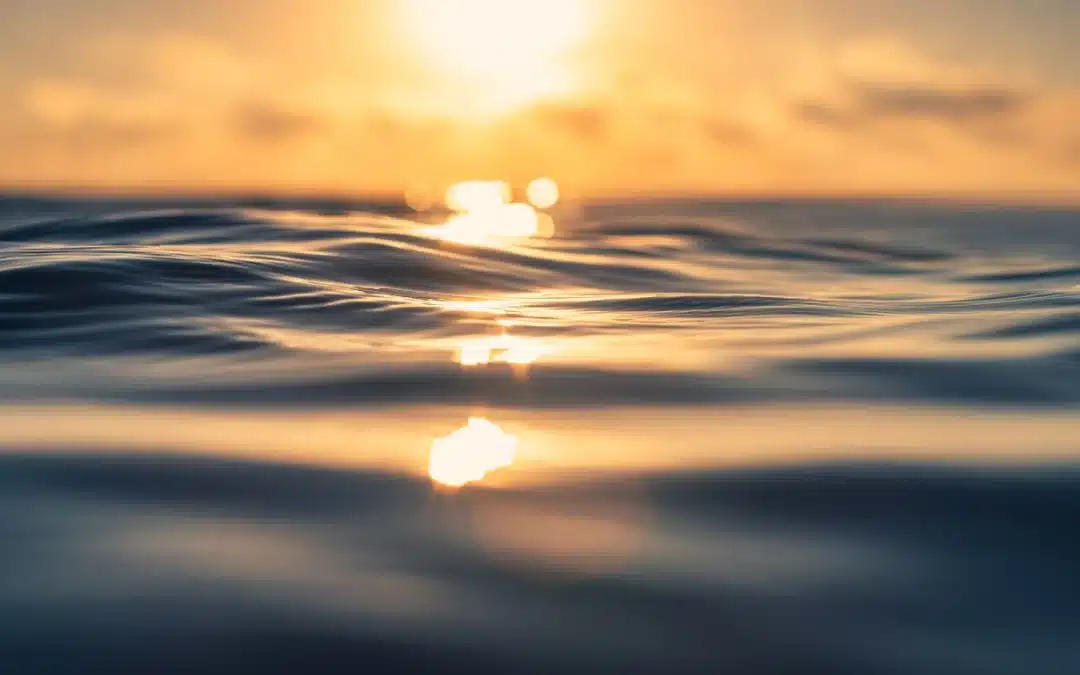 Ocean Capture Tech Offers Hope For Marine Ecosystems