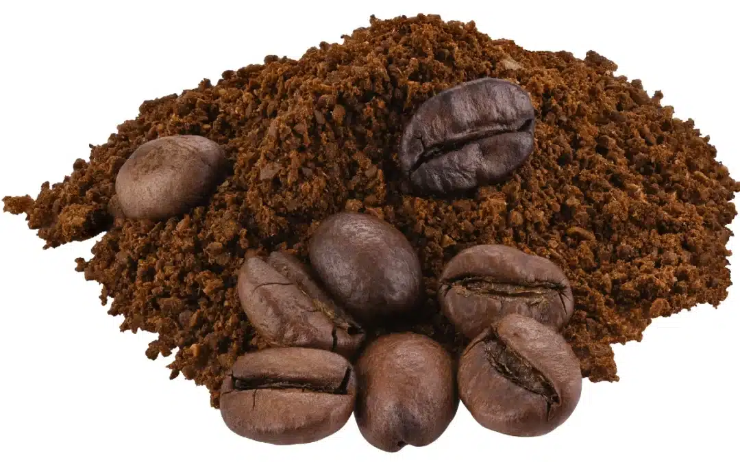 Coffee Grounds And Plastic Used For Carbon Capture