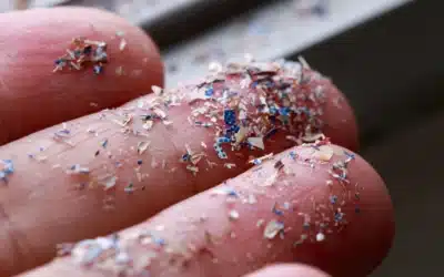 RMIT Develops Magnetic Material to Remove Microplastics and Pollutants from Wastewater