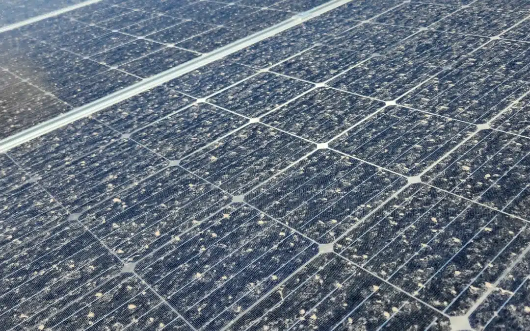 New Water-saving Solar Panel Cleaning Method is Inspired by Nature