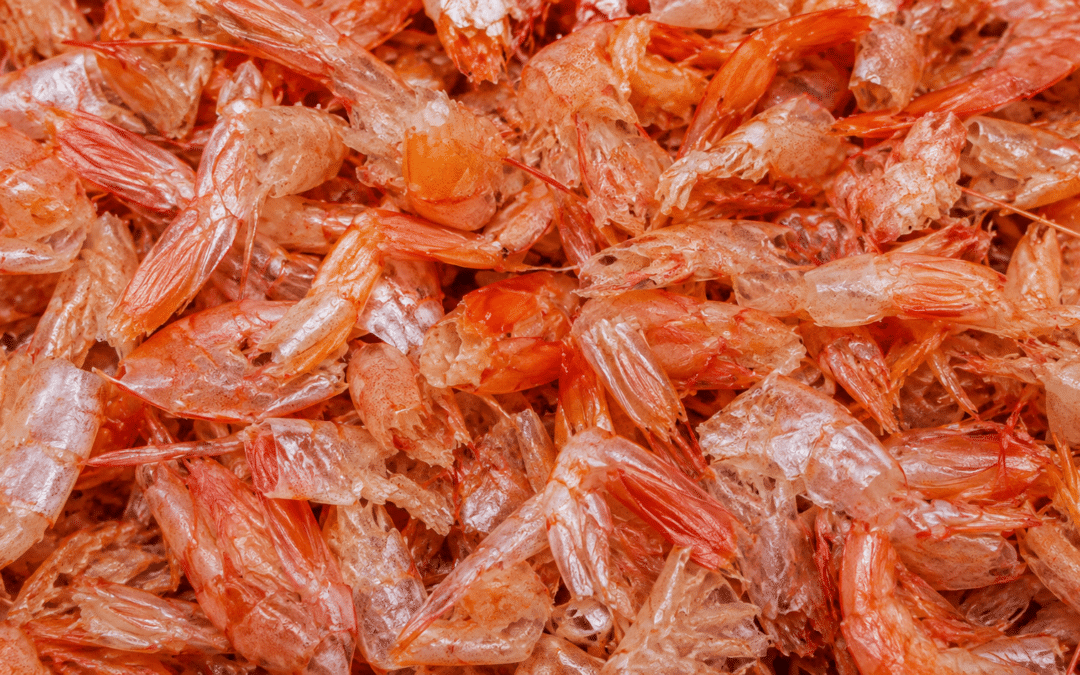 Singapore Engineers Pioneer System to Turn Shrimp Shells into Climate-friendly Resources