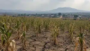 Climate-Vulnerable Countries Spend 25 Times More on Debt Than Climate Action