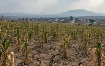 Climate-Vulnerable Countries Spend 25 Times More on Debt Than Climate Action